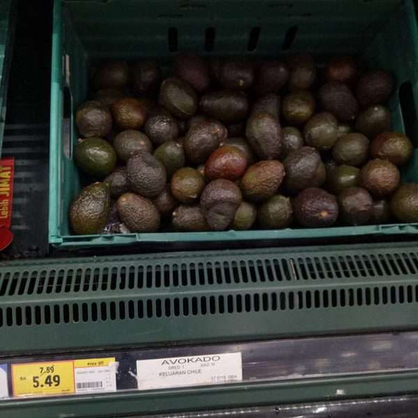 Avocados in Tesco